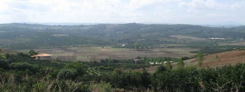 حمل اثاثیه در ارطه