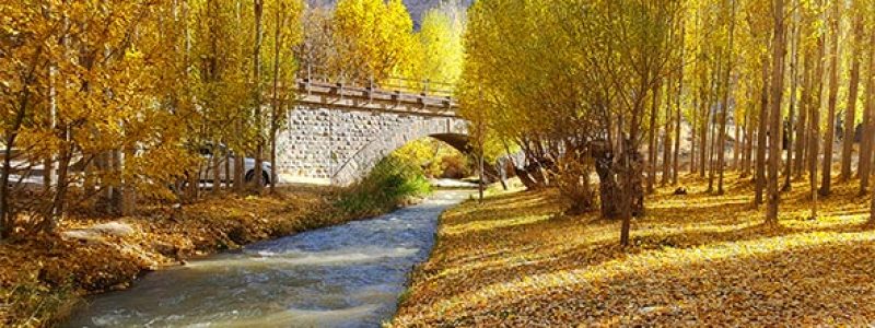 خدمات باربری سریع و ایمن در فیروزکوه